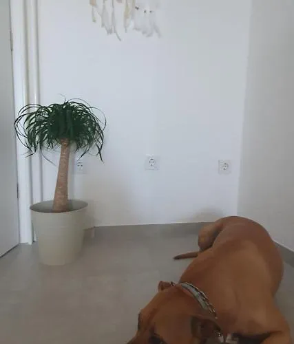 Thalia Σπίτι διακοπών